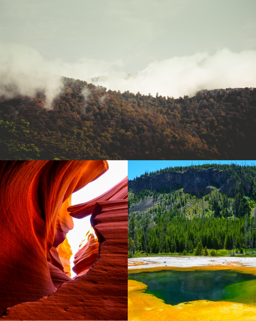 More family vacation ideas to choose from